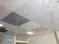 铝天花吊顶常见的材质种类